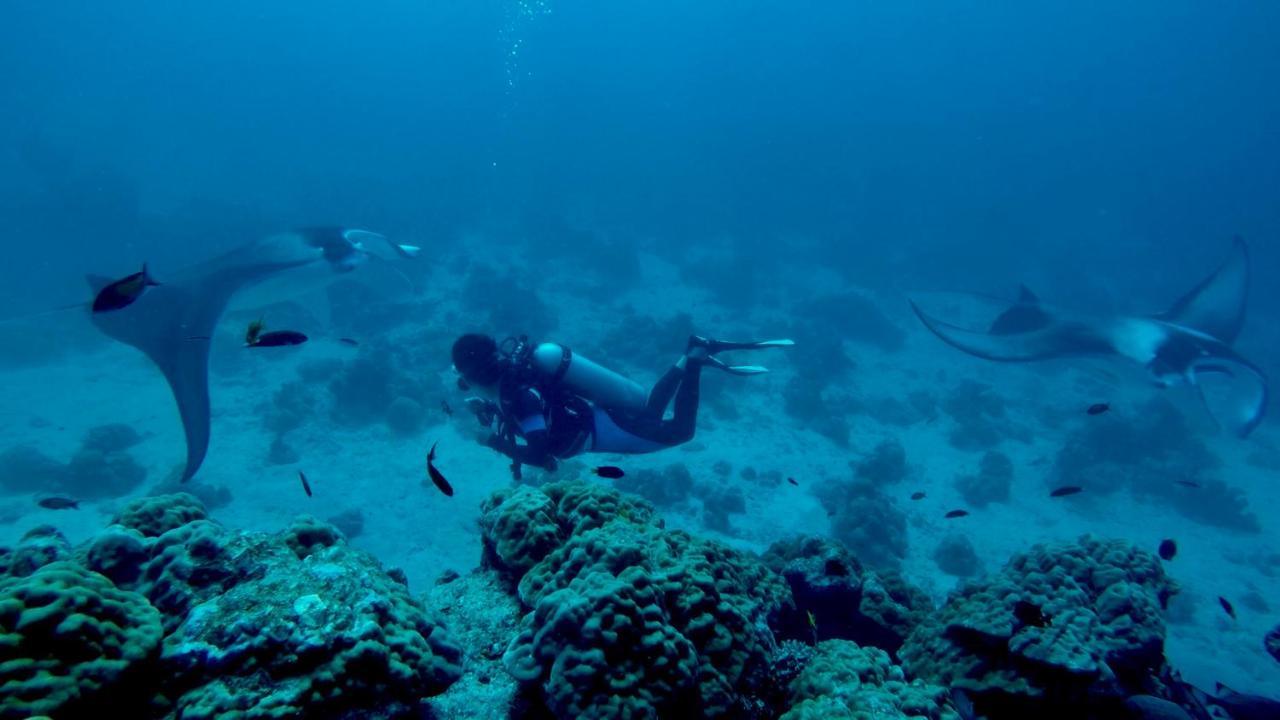 Rasreef Rasdhoo Maldives Exterior foto