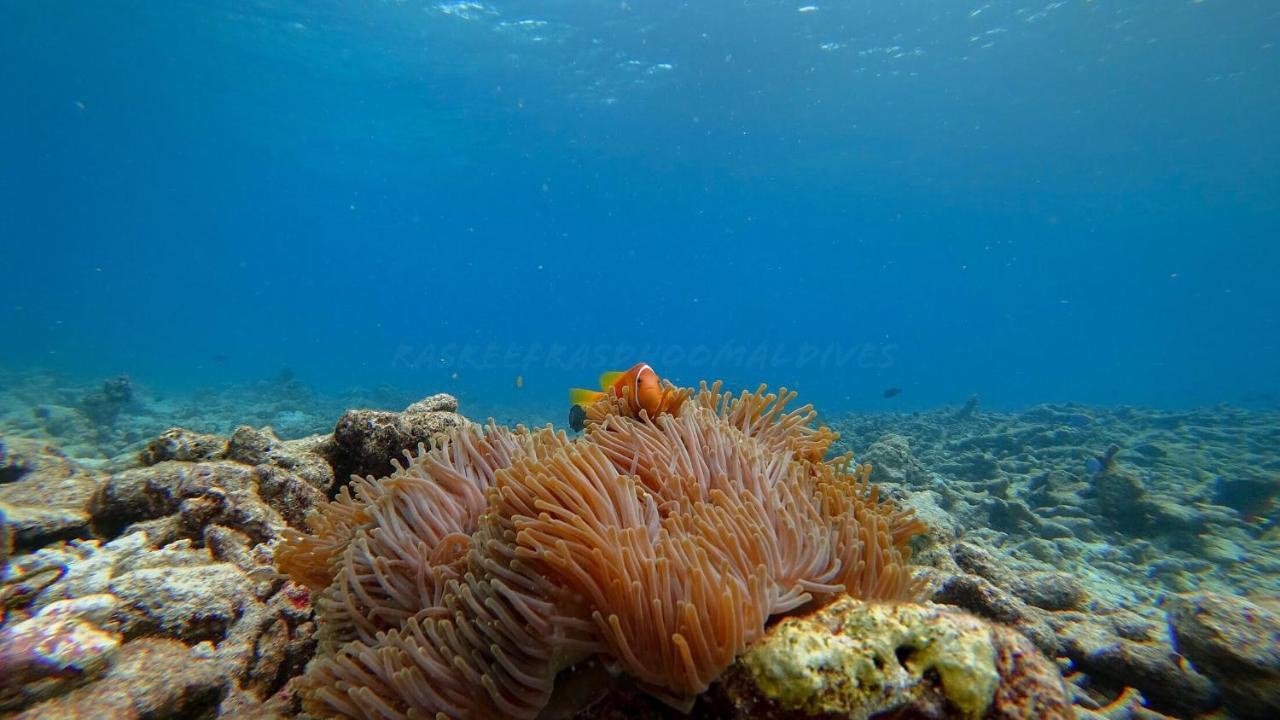 Rasreef Rasdhoo Maldives Exterior foto