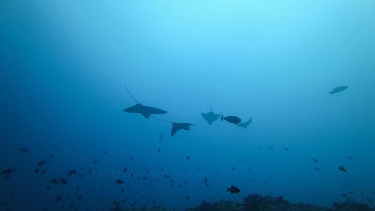Rasreef Rasdhoo Maldives Exterior foto