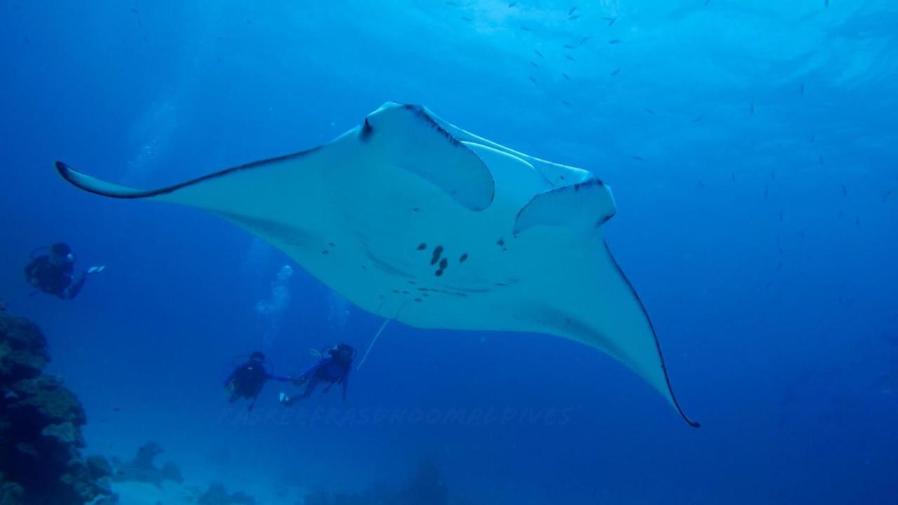 Rasreef Rasdhoo Maldives Exterior foto